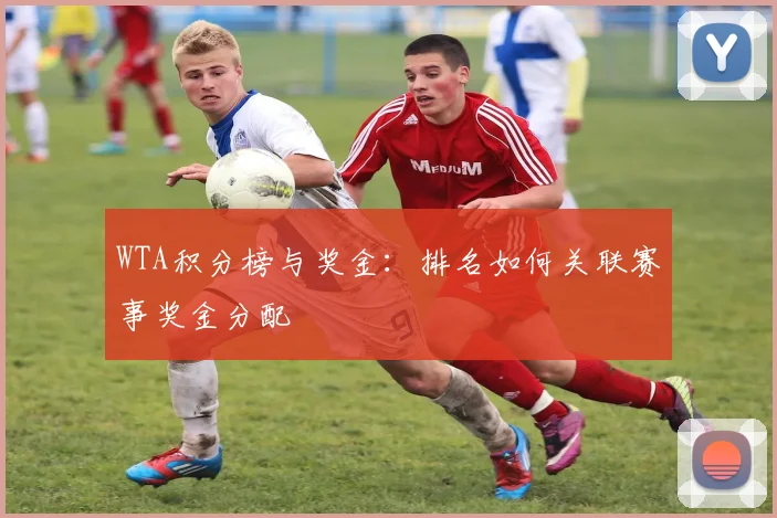 WTA积分榜与奖金:排名如何关联赛事奖金分配