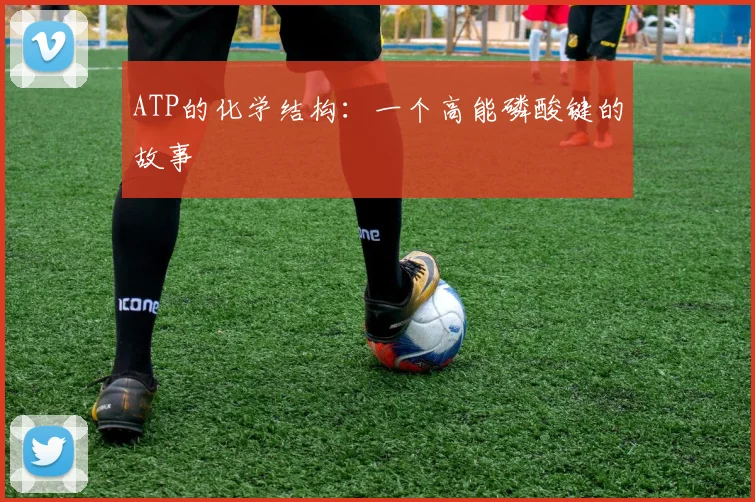 ATP的化学结构：一个高能磷酸键的故事