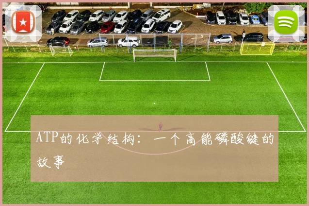 ATP的化学结构：一个高能磷酸键的故事