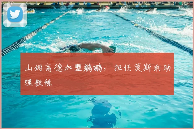 山姆高德加盟鹈鹕，担任莫斯利助理教练