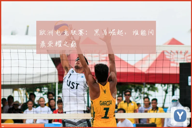 欧洲电竞联赛:黑马崛起,谁能问鼎荣耀之巅