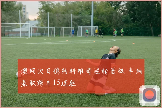 澳网次日德约科维奇逆转晋级 辛纳豪取跨年15连胜